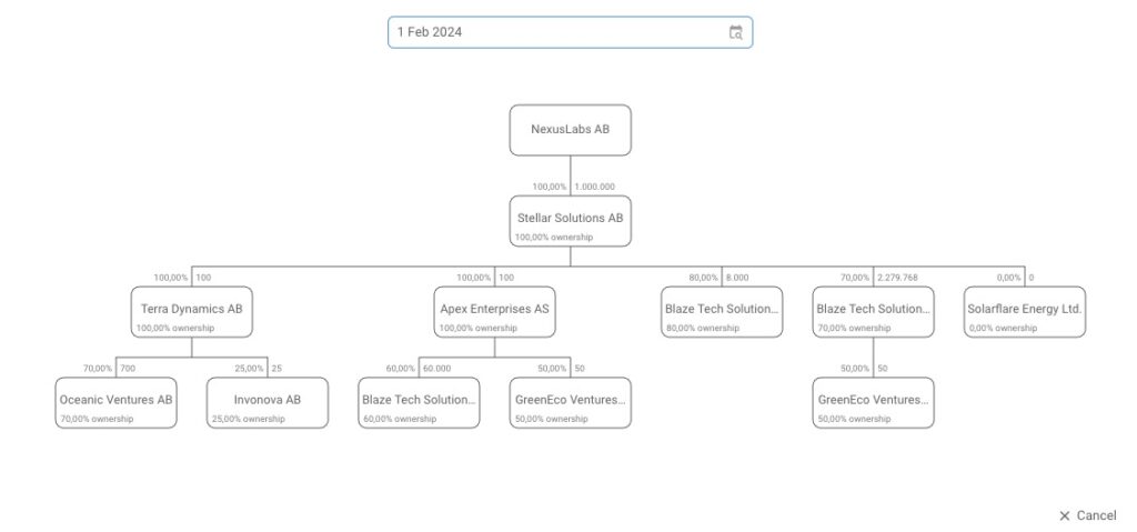 Advanced Consolidation visual (Management reporting)