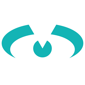 Ionbiz logo